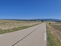 Mont Ventoux depuis Sault