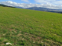 Mont Ventoux desde Sault