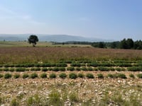 Mont Ventoux desde Sault