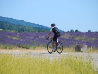 Mont Ventoux vanuit Sault