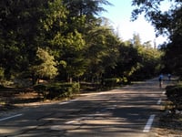 Mont Ventoux desde Sault