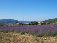 Mont Ventoux z Sault