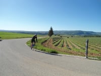 Mont Ventoux from Sault