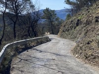 Mont Vial von Vescous