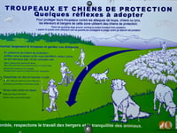 La Montagne de Lure