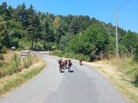 Montagne de Saurel vanuit La Brugerette