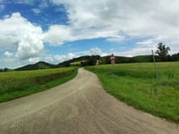 Montauto from Lucignano d’Arbia
