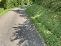 Montcoux von Faverges