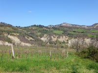 Monte Albano da Zattaglia