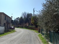 Monte Albano da Zattaglia