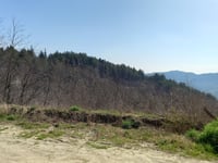 Monte Albano da Zattaglia
