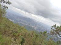 Monte Aloia von Tui