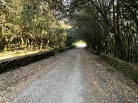 Monte Arci / Acquafrida da Ales / Abas