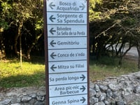 Monte Arci / Acquafrida da Ales / Abas