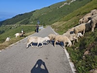 Bocca del Creer depuis Avio