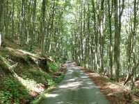 Monte Barigazzo da Ponte Lamberti