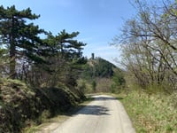 Monte Battaglia from Passo del Prugno