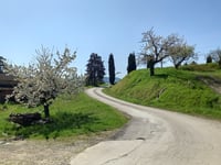 Monte Battagliola