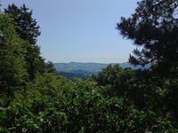 Monte Busca from Tredozio