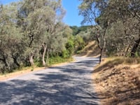 Monte Buzzo z Romito Magra