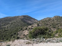 Monte Calamorro depuis Benalmádena par Avenida de las Palmeras