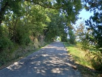 Monte Casale von Selbagnone