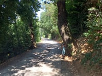 Monte Cerreto via Strada Prima Gualdaria