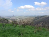 Monte Mirabello from San Lorenzo in Noceto