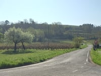 Monte Coralli z Tebano