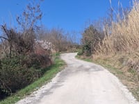 Monte dei Feriti por Via Campiano