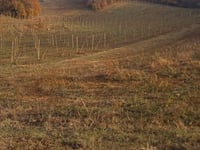 Monte del Roccolo von Grancona