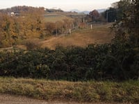 Monte del Roccolo von Grancona