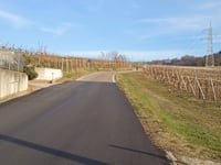 Monte del Roccolo von Sarego