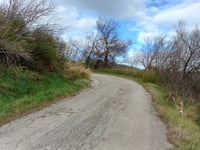 Monte di Converselle da Castrocaro Terme
