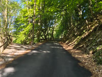 Monte di Sovere von Fiorano al Serio