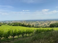 Via Montefortino von Via San Mamante