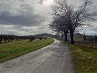 Via Montefortino von Via San Mamante