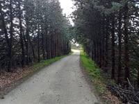 Via Montefortino von Via San Mamante