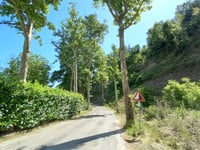 Monte Gallo von Dovadola