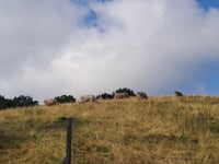 Monte Generoso from Mendrisio