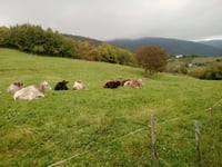 Monte Grappa