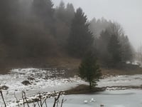 Monte Grappa