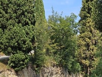 Monte Grappa