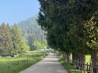 Monte Grappa