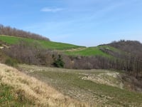 Monte La Pieve von Fontanelice