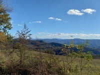 Monte Leonio da Colle San Savino