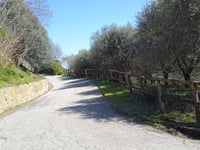 Monte Lozzo from Lozzo Atestino