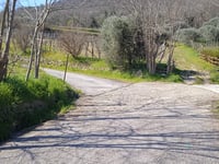 Monte Lozzo from Lozzo Atestino