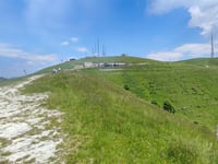 Monte Cesen / Malga Mariech von Valdobbiadene