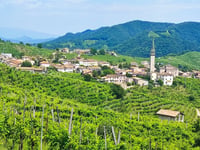 Monte Cesen / Malga Mariech von Valdobbiadene